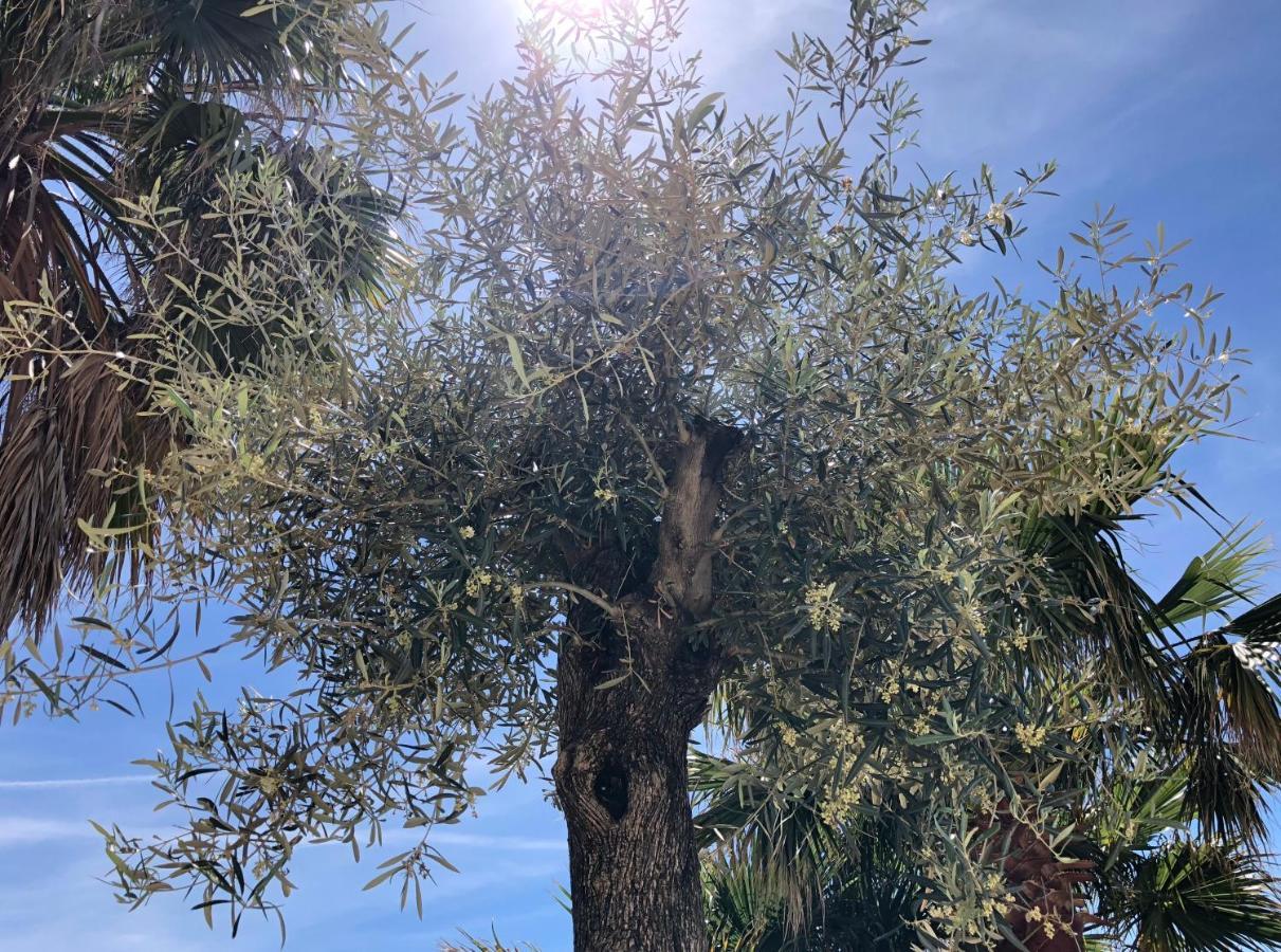 דירות Bahia de Casares Casa Olina מראה חיצוני תמונה