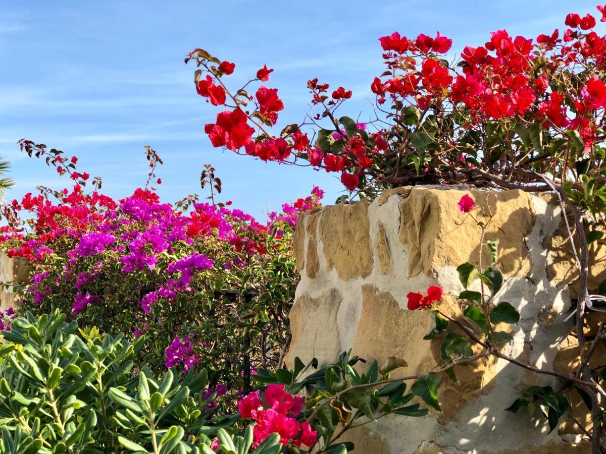 דירות Bahia de Casares Casa Olina מראה חיצוני תמונה